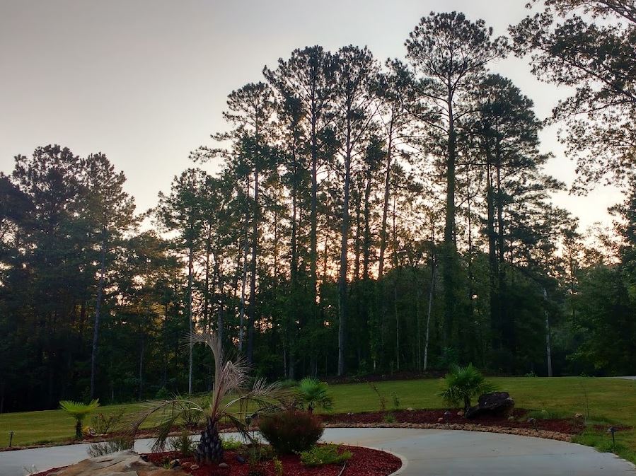 Thumbnail for Moving Company in Fayetteville
