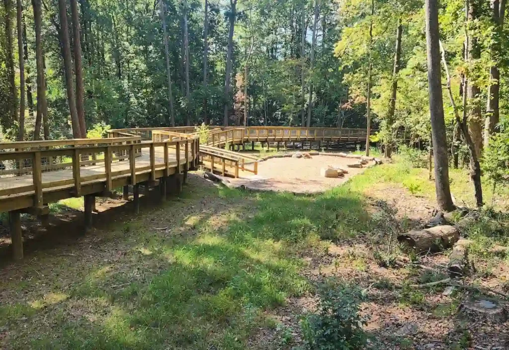 Modern wooden cabin with large glass windows nestled in a sunlit forest.