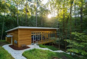 Modern wooden cabin with large glass windows nestled in a sunlit forest.