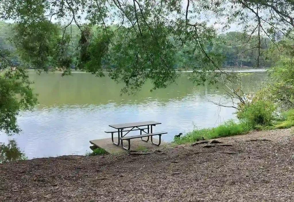 Empty picnic table on a concrete pad overlooking a calm lake surrounded by trees.