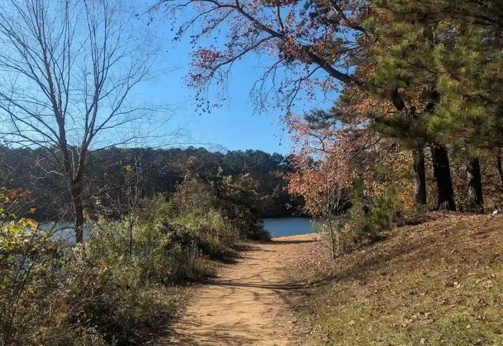 Dirt hiking trail leading toward a blue lake surrounded by autumn trees.