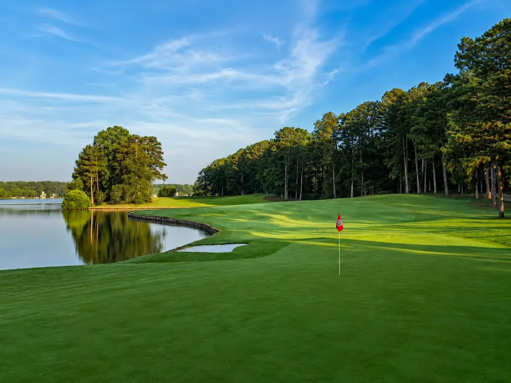 Why Alpharetta Residential Movers are High-Demand in 2026